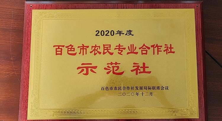 绿发田阳芒果精品小铺