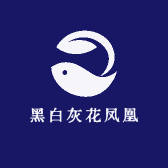 黑白灰花凤凰