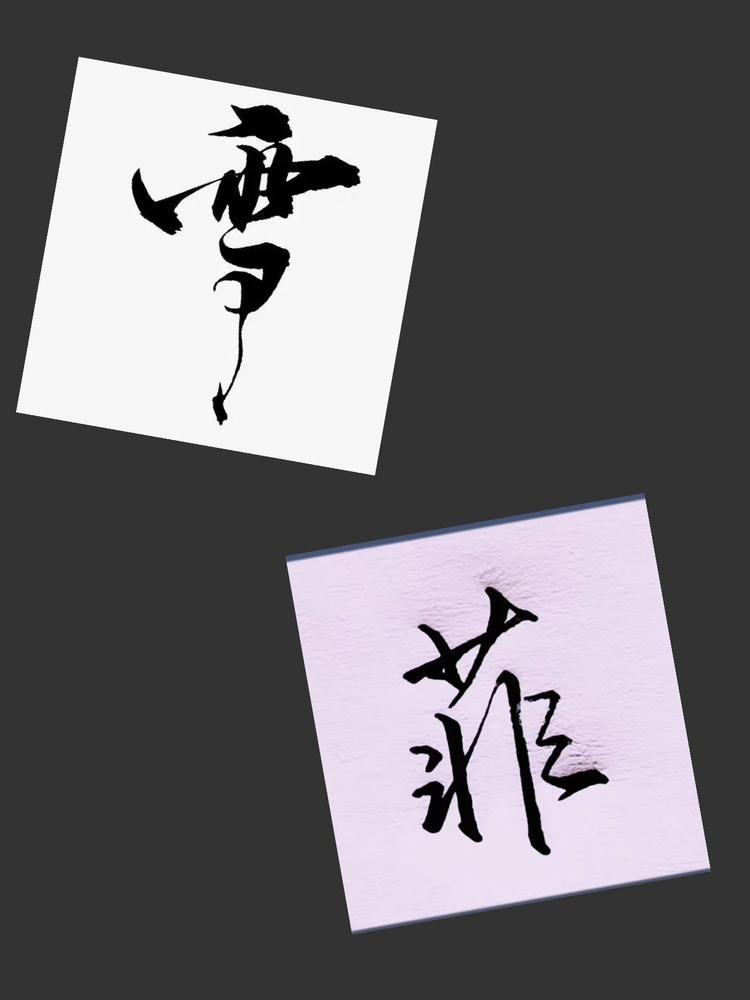 雪菲严选