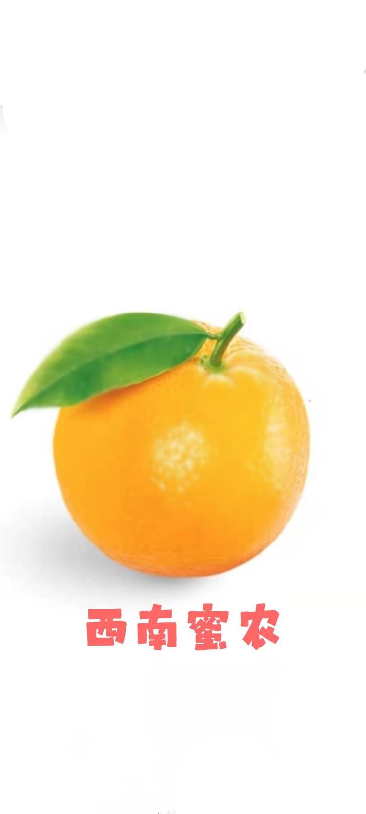 西南蜜农（广州）网络科技有限公司的小店