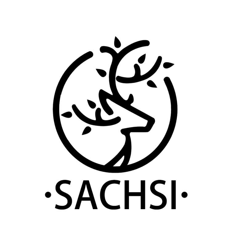 SACHSI优选
