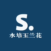 水培玉兰花