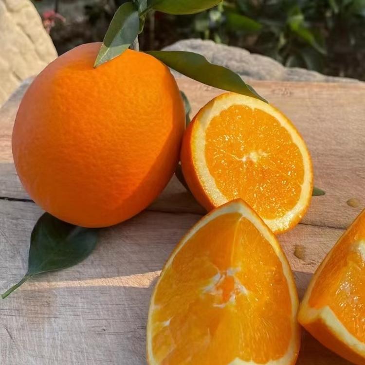 奉节脐橙生鲜水果店