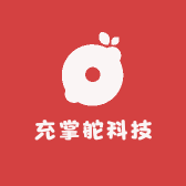 充掌舵科技