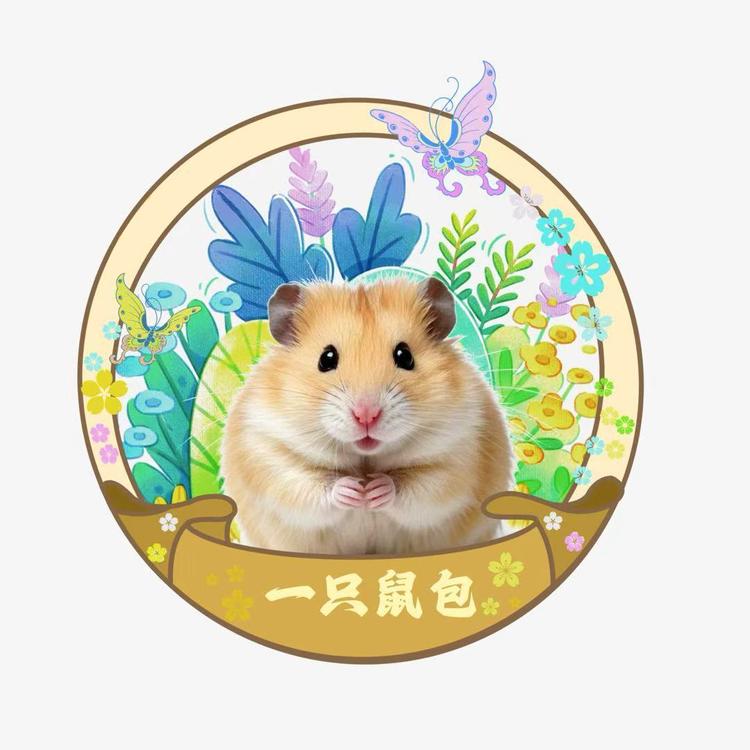 一只鼠包