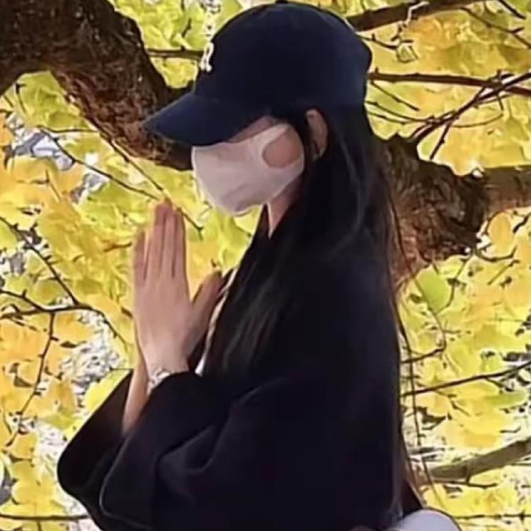 相约花卉苗木场