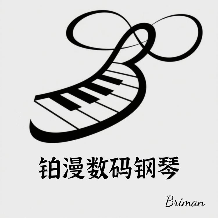 铂漫数码钢琴