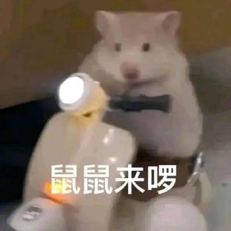 随随便便开个网店o