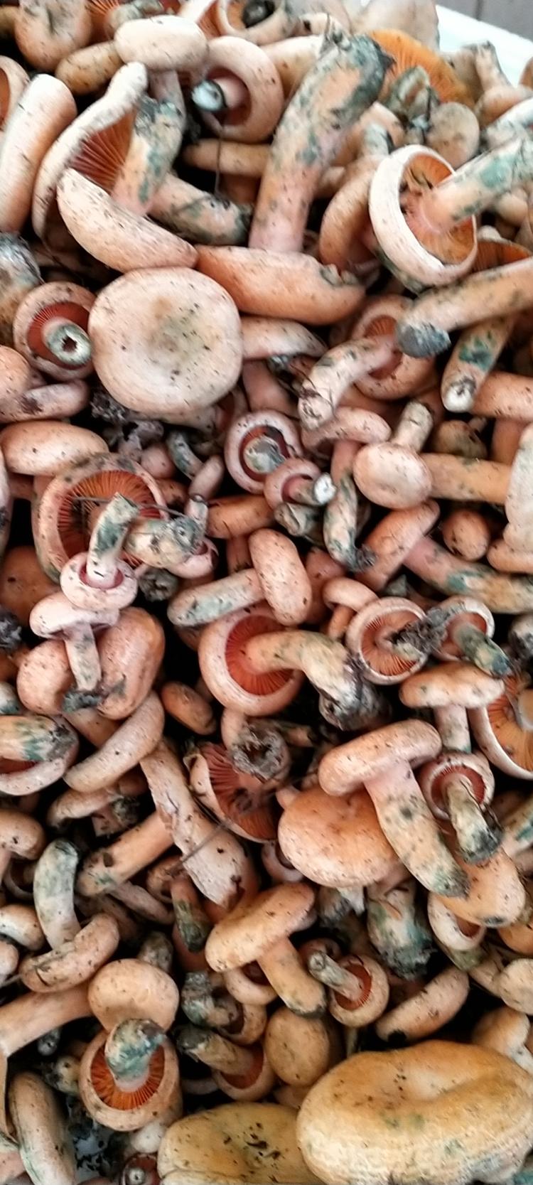 永定区璐婕桑农副产品经营部的小店个体店