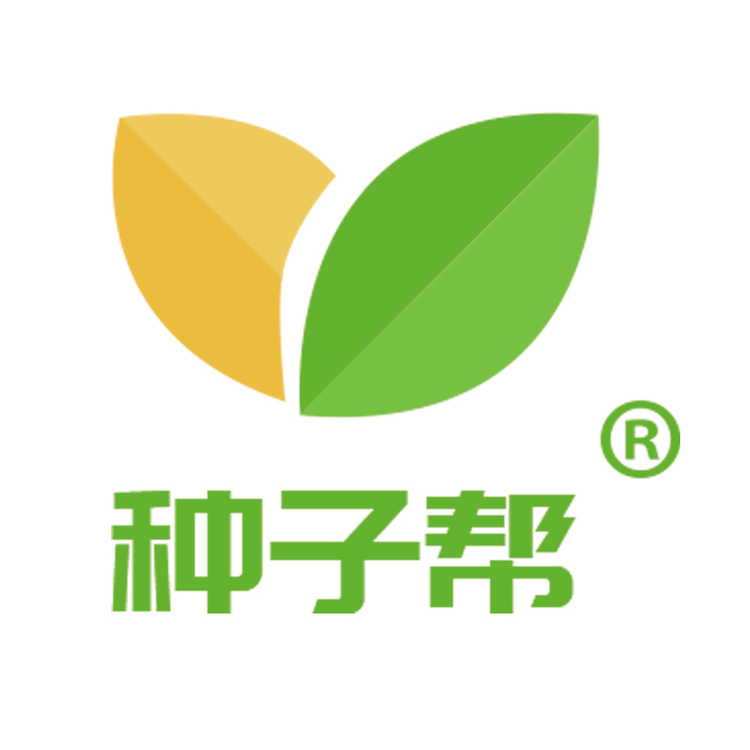 种子帮绿草茵种子专卖店