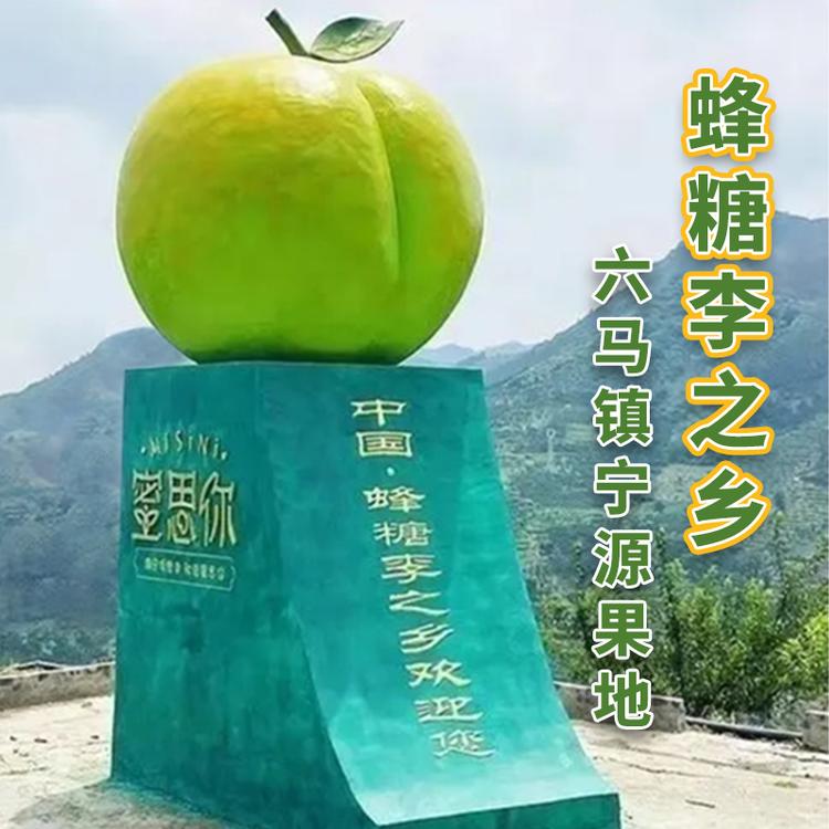 六六顺蜂糖李严选店