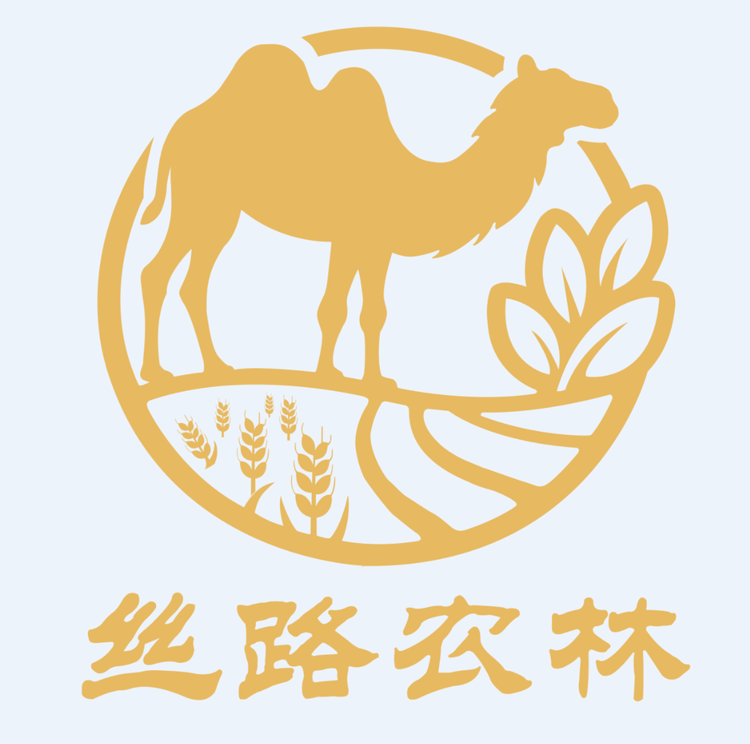 丝路甘肃