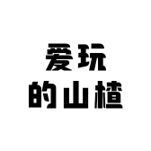 爱玩的山楂