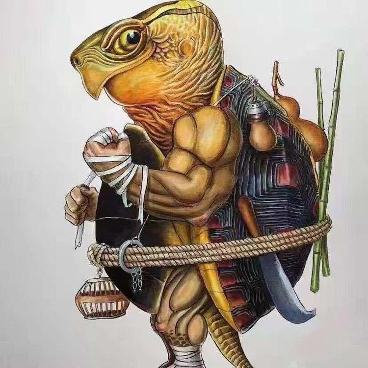 烽城富甲龟壳文玩