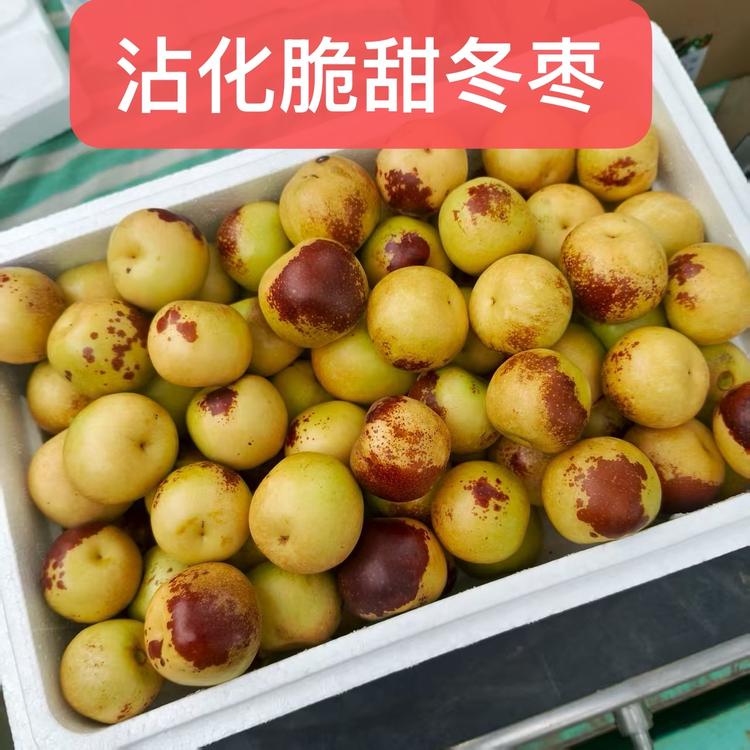 滨州市沾化区阿旭水果销售店