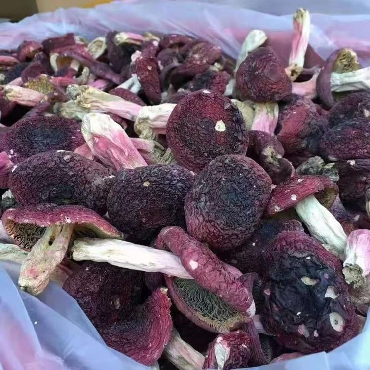 王漂亮干货行