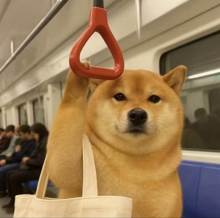 莎莎的文具匣子