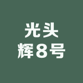 光头辉8号