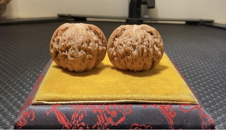 贝康核缘