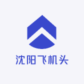 沈阳飞机头