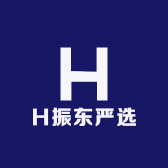 H振东严选