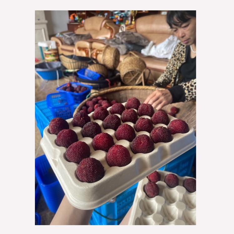 小鑫记小店仙居杨梅