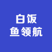 白饭鱼领航
