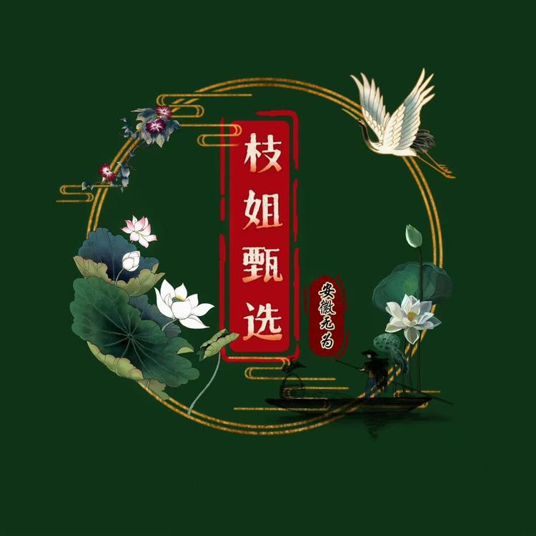 枝姐甄选