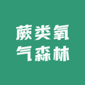 蕨类氧气森林