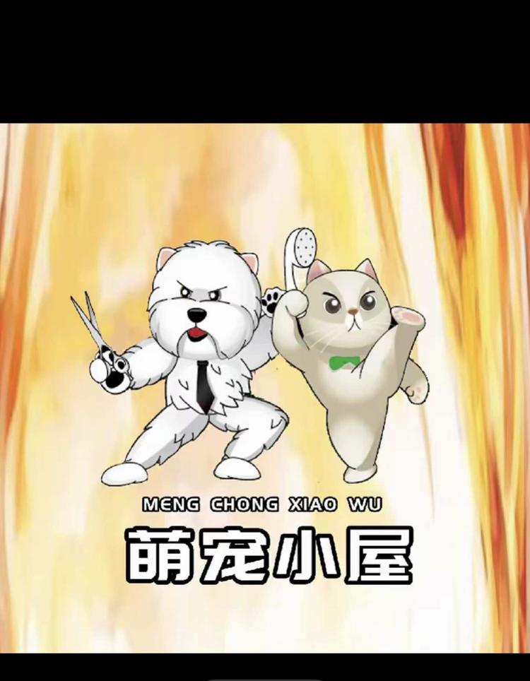 哈尔滨市道外区萌宠小屋宠物店的小店个体店