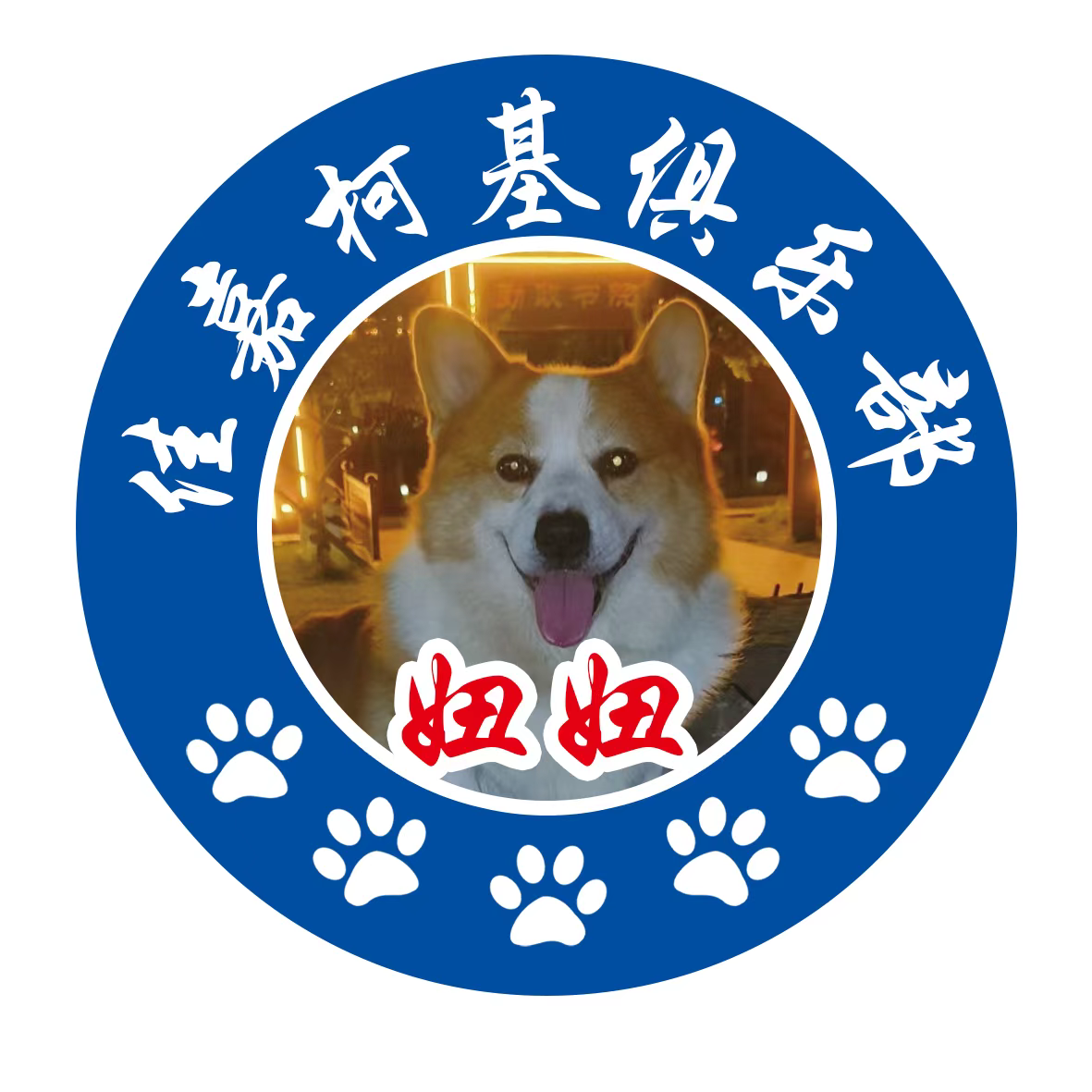 钏弟宠物屋