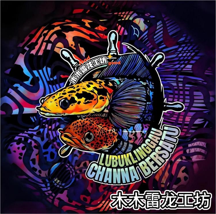 木木雷龙工坊