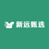 新远甄选