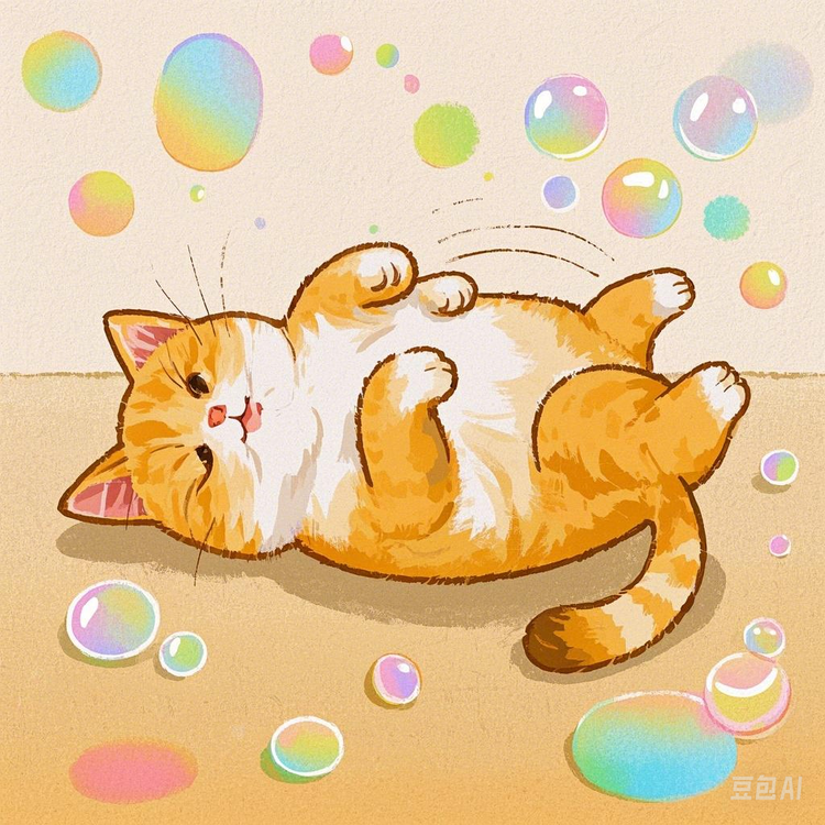 肚皮朝上宠物工作室