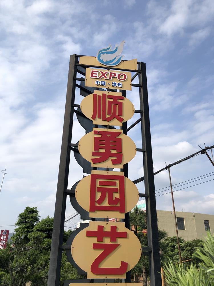 漳州高新区九湖顺勇园艺场的小店个体店