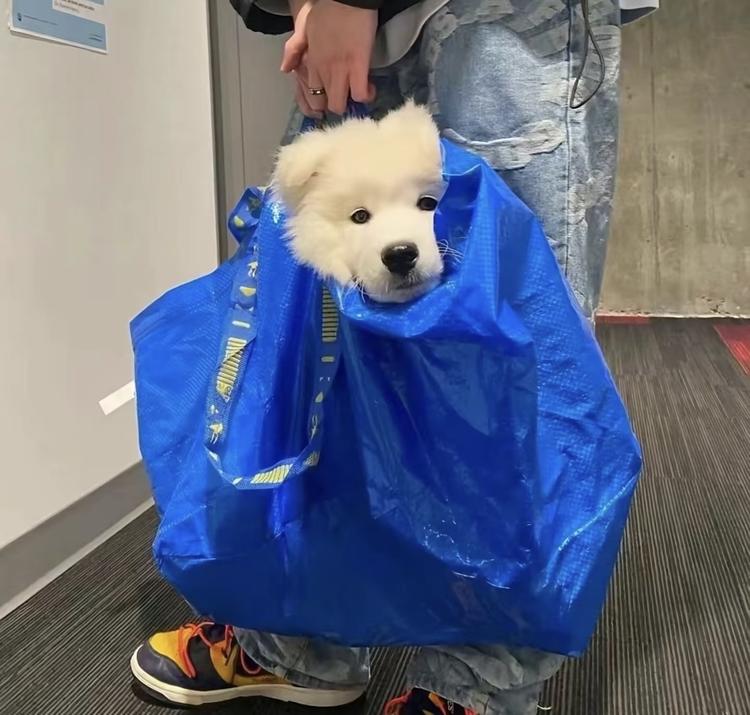 途中店