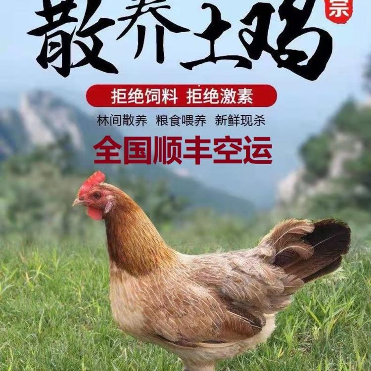 汪小哥农场