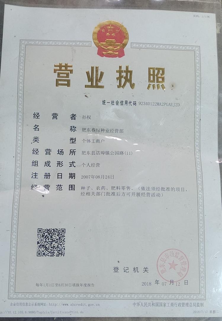 肥东春绿种业经营部的小店个体店