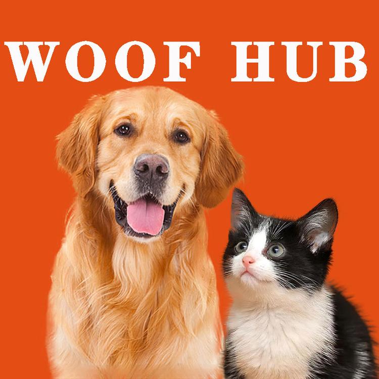 WOOFHUB晤福宠物