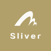 Sliver 高定女鞋
