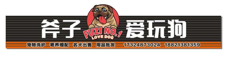 斧子爱玩狗
