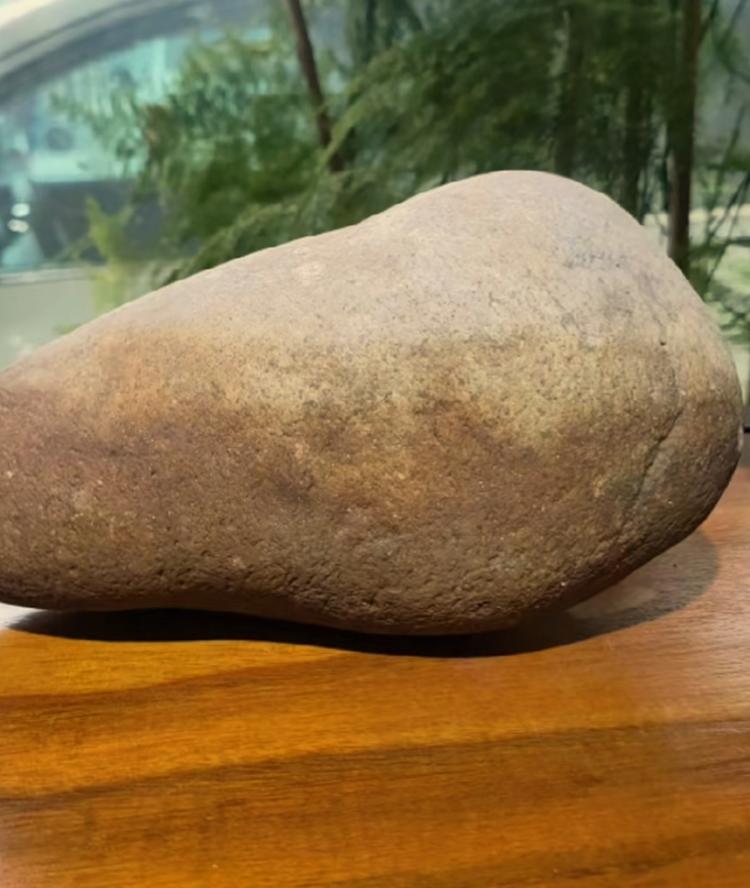 江苏刘姐