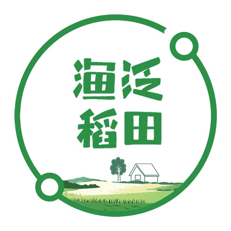 渔泛稻田
