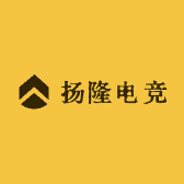 扬隆电竞
