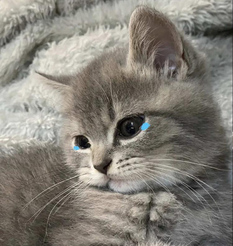 曹县衣依电子商务中心的小店个体店