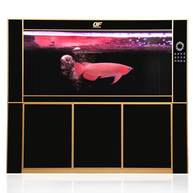 海安仟湖水族馆