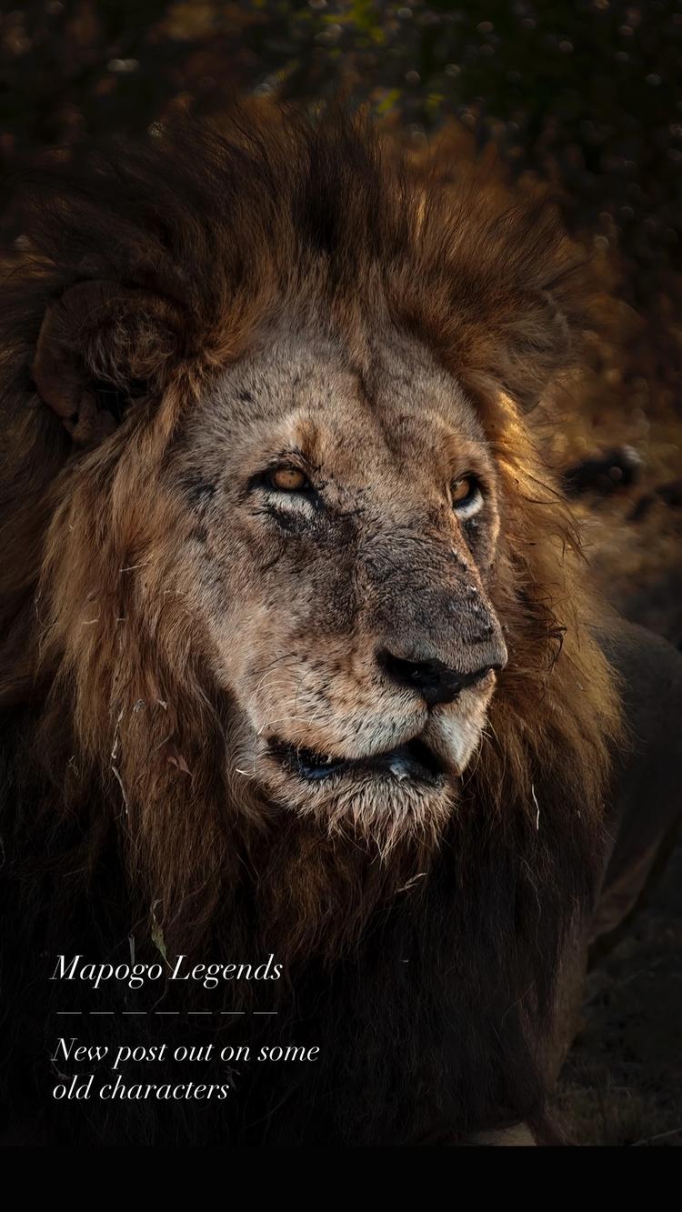 坏男孩联盟小店