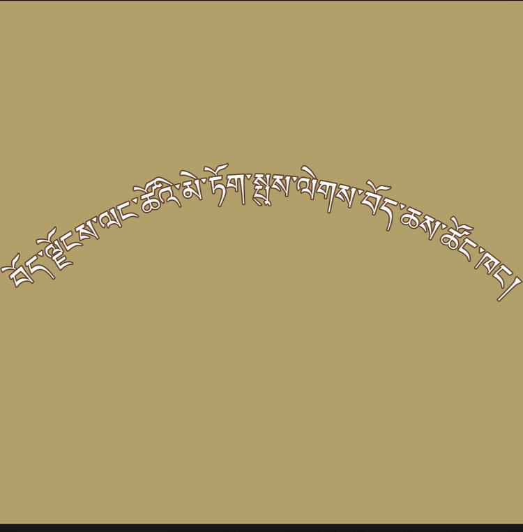 西藏琅措玫朵精美藏装店