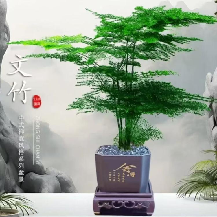 时茂景果树苗木专卖店