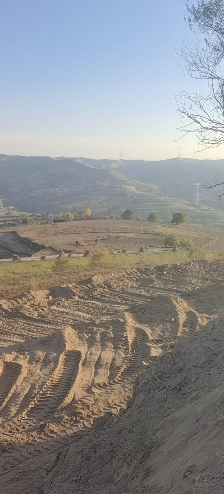 戈壁老王的商店